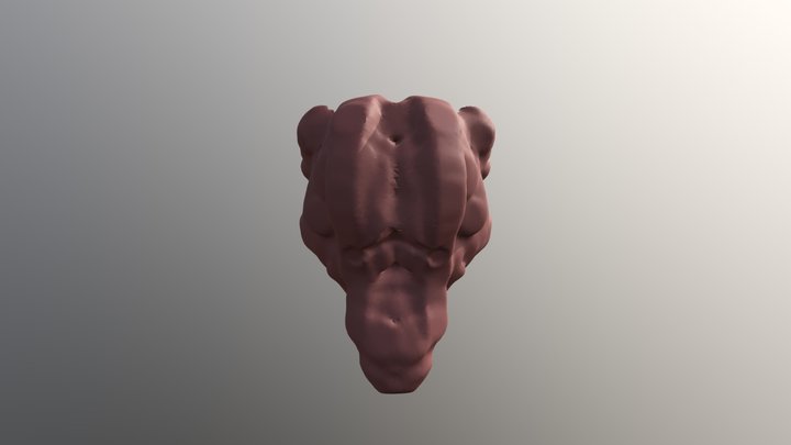 cirano de bergerac 3D Model