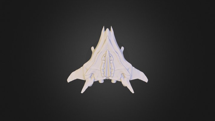 1640783 Space Craft (1) 3D Model
