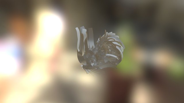 Dragon 3D Model