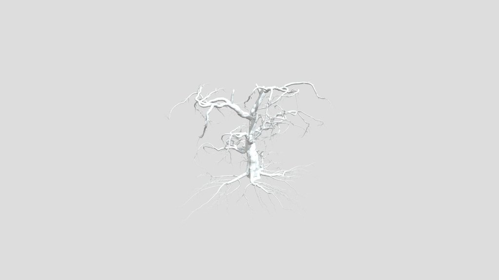 Sj Twisted Dead Tree Mesh
