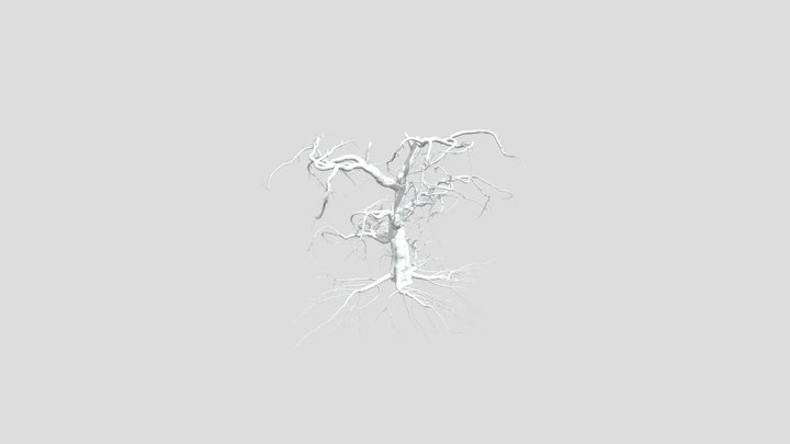 Sj Twisted Dead Tree Mesh