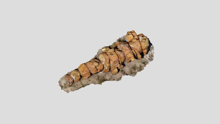 Fossil_3_vasiliki – Modello 3D gratuito STL