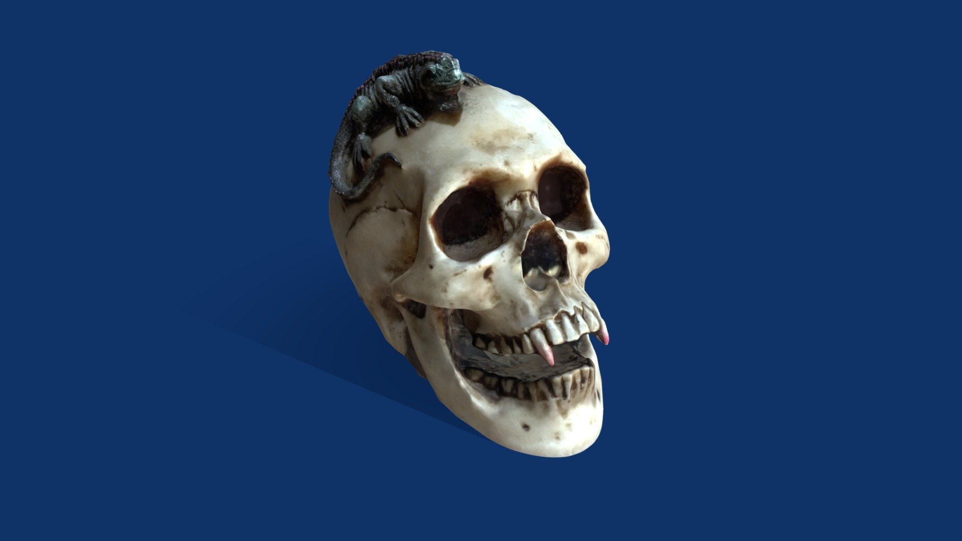 Skull Lizard