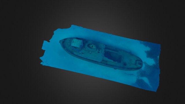The wreck of the Rozi 3D Model
