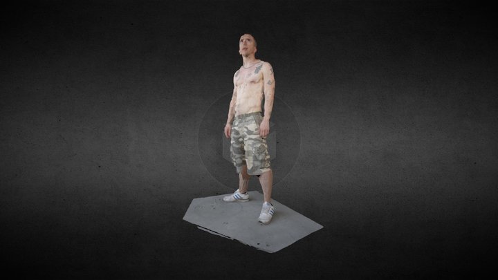 Warrior - processed by Pix4Dmapper 3D Model