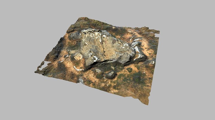 Lordenshaw Rock Art - Main Panel 3D Model