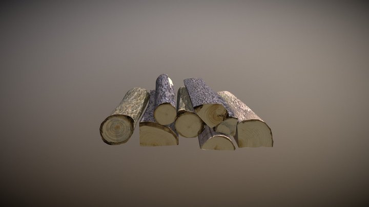 Logs 3D Model