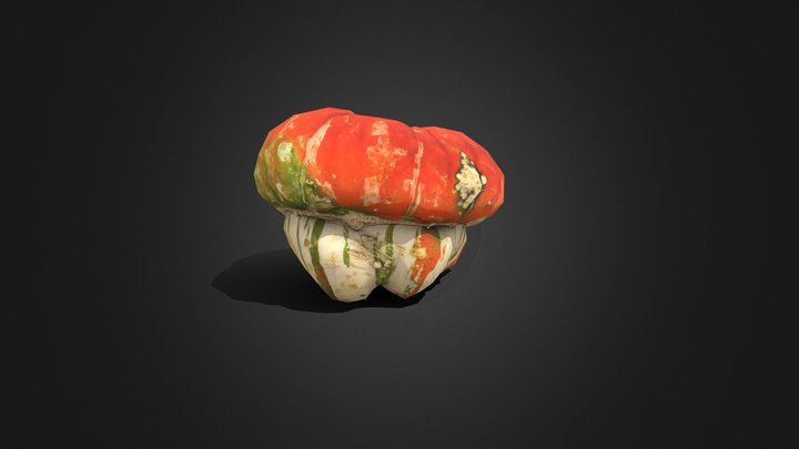 Low-Poly Photo-Realistic Squash 3D Model