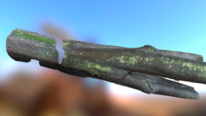 Tree with Texture 3D Model