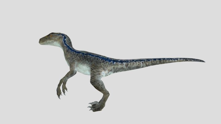 Blue the Velociraptor – Modello 3D gratuito STL