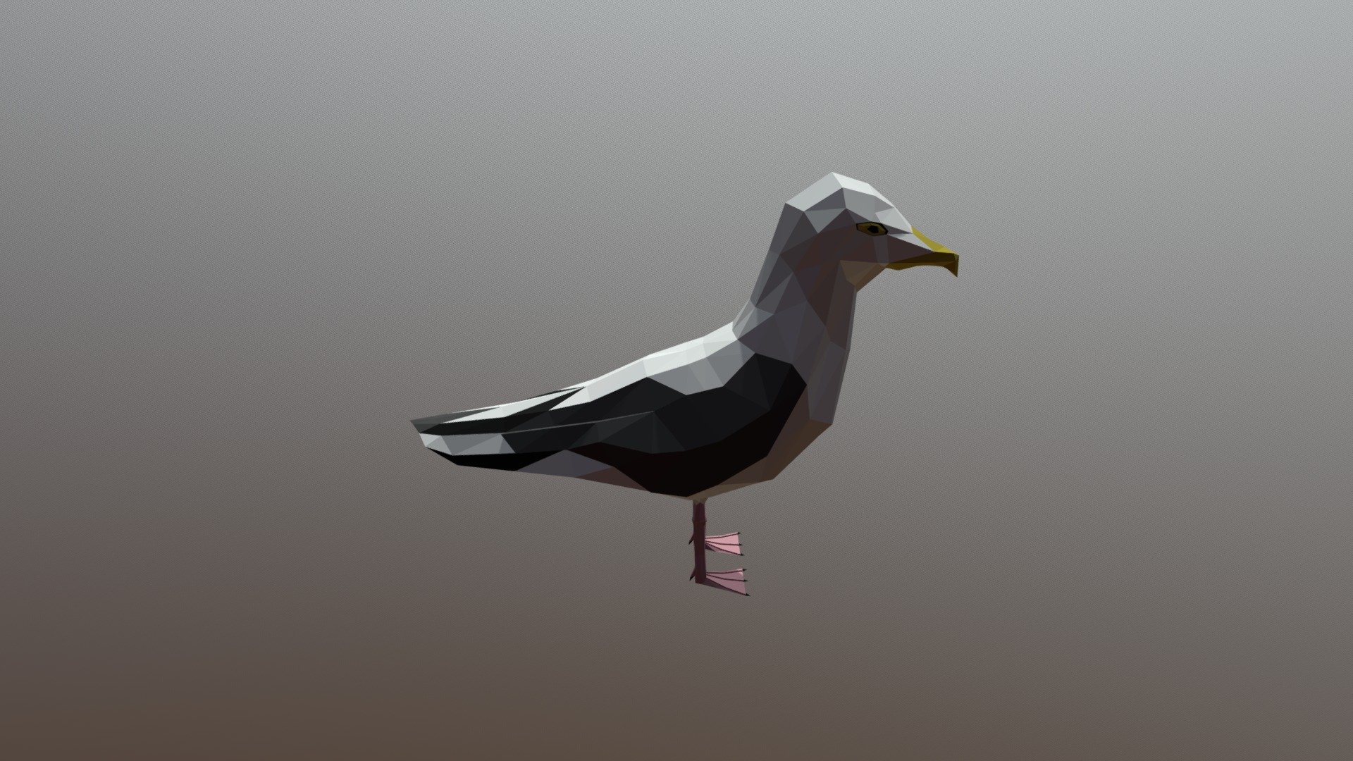 SeaGull/ Mouette - Lowpoly