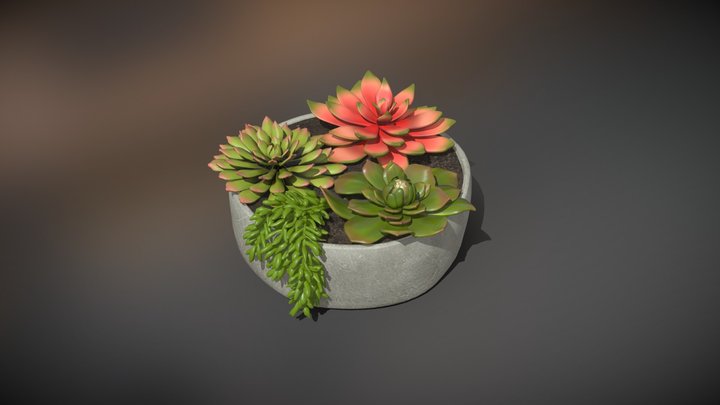 Artificial Succulents Test 3D Model