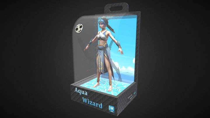 Toybox : AquaWizard rig 3D Model