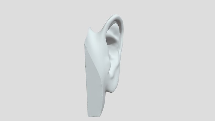 Ear2 3D Model