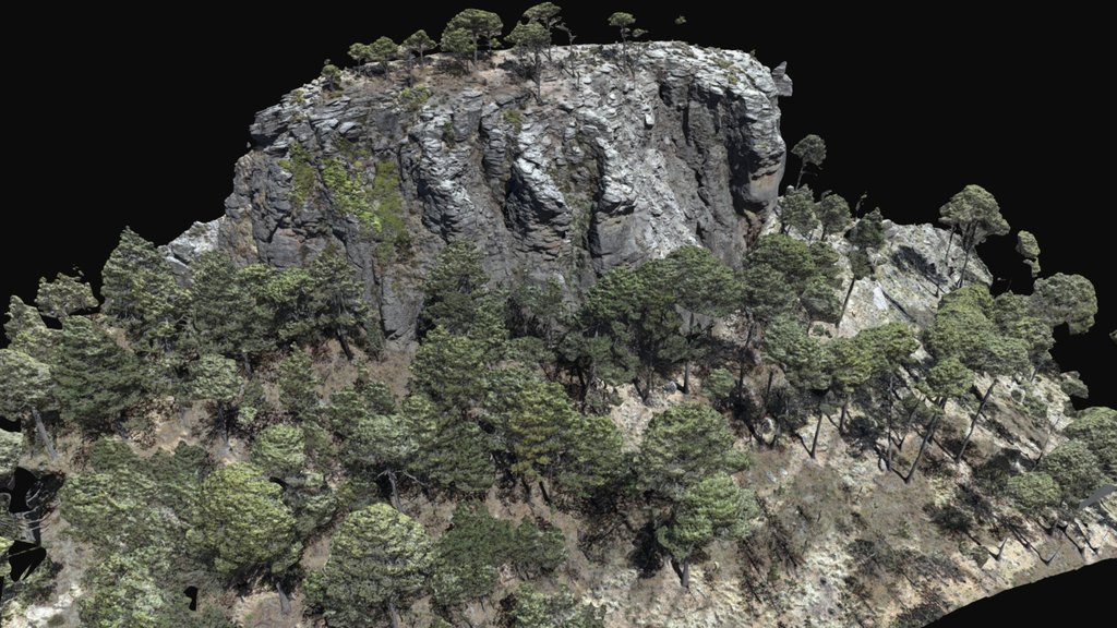 Rock mass - Cofre de Perote (Veracruz)