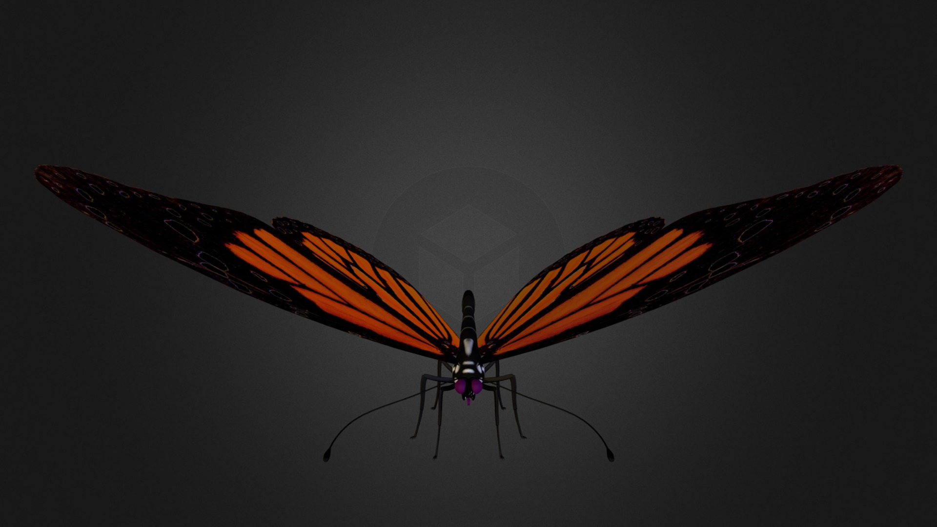 Butterfly - 3D model by 2081 [d710c0b] - Sketchfab