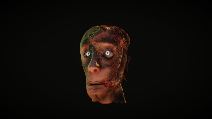 Zombie Hoofd 3D Model