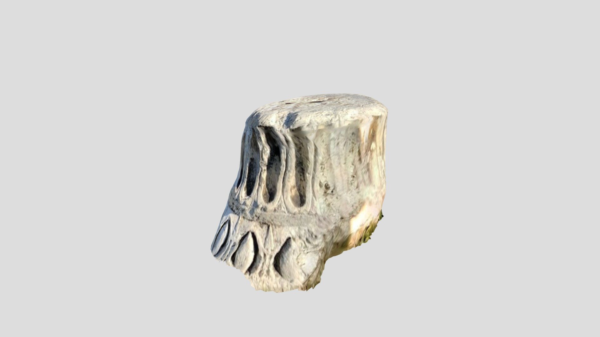 POLYCAM CHAPITER PROCESSED