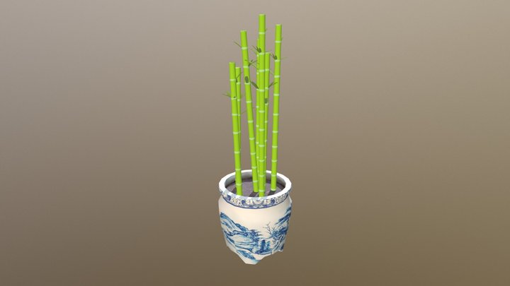 Bamboo plant 3D Model