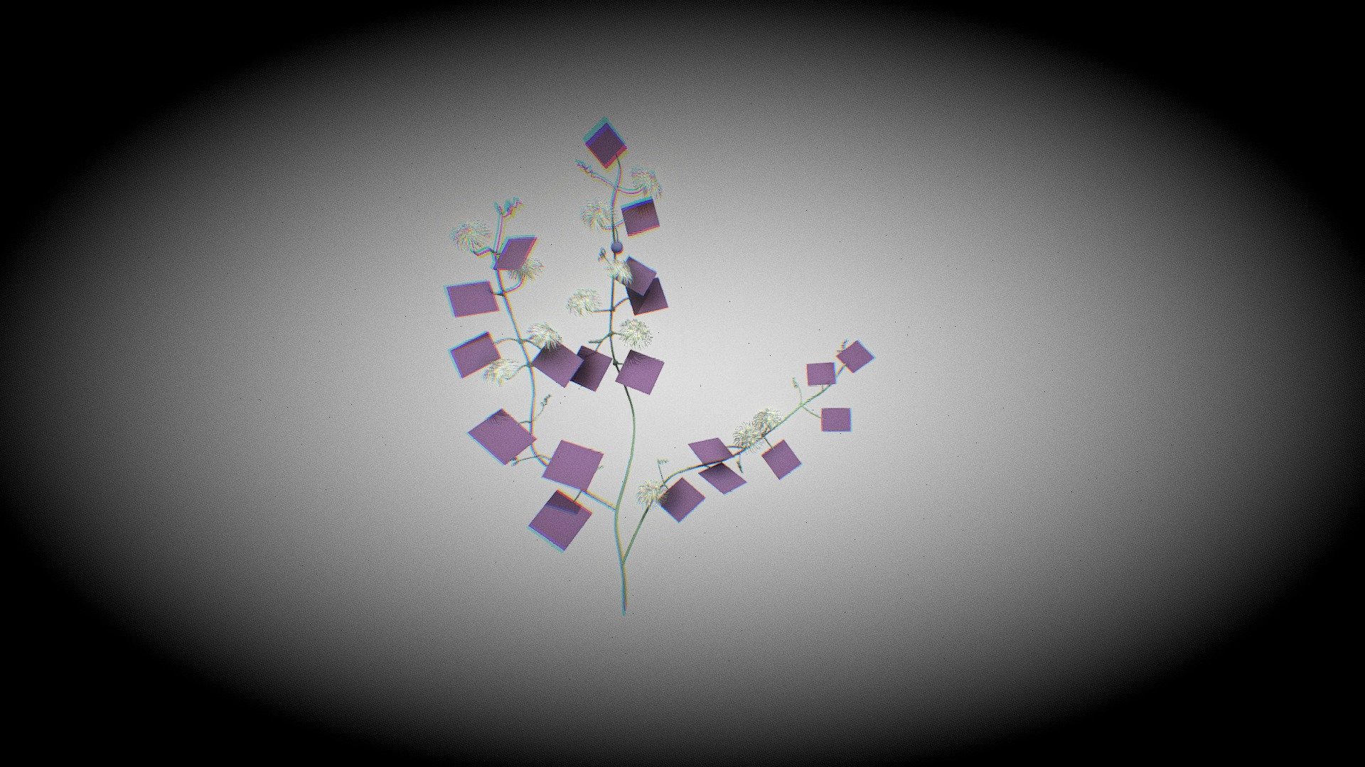 passiflora-misera — Sketchfab embed 3D viewer