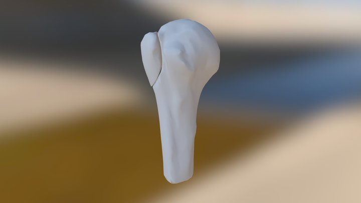 Split Mesh Model 3D Model
