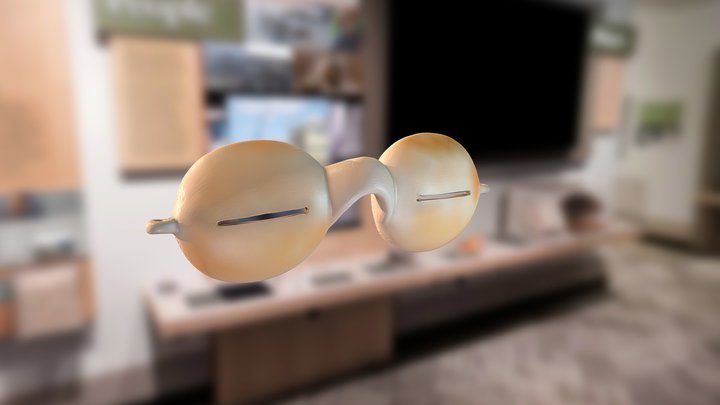 Arctic Snow Goggles - VT 3D Model