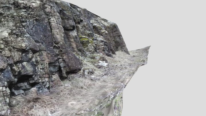 Rock face 3D Model