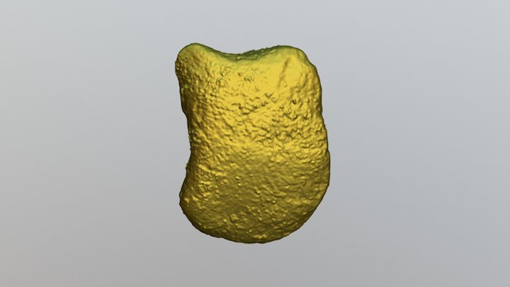 02 3D Model