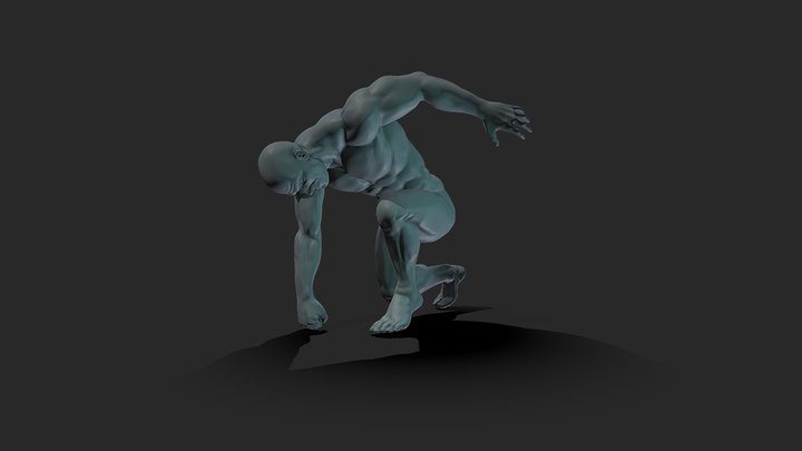 Body Complete Posed 1 3D Model