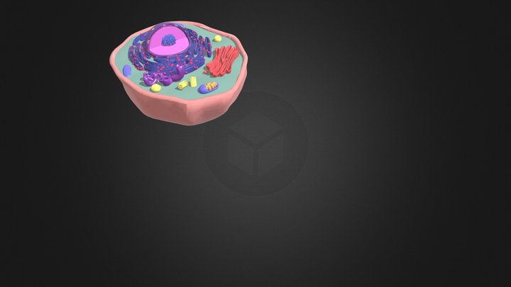 HAYVAN HÜCRESİ-Renkli 3D Model