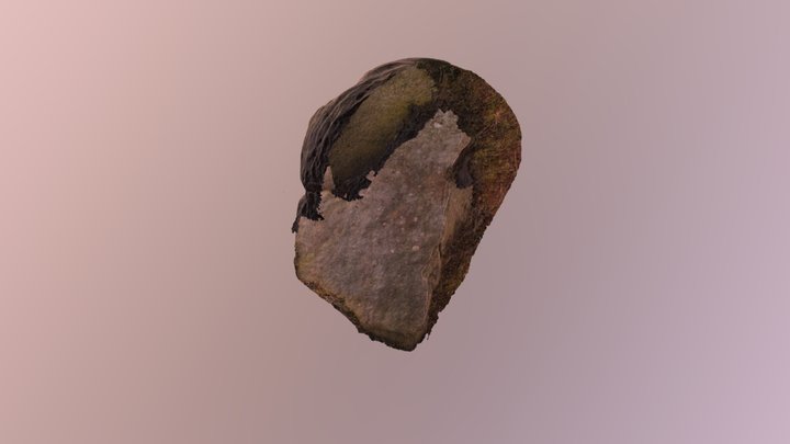 Photogrammetry_Rock 2 3D Model