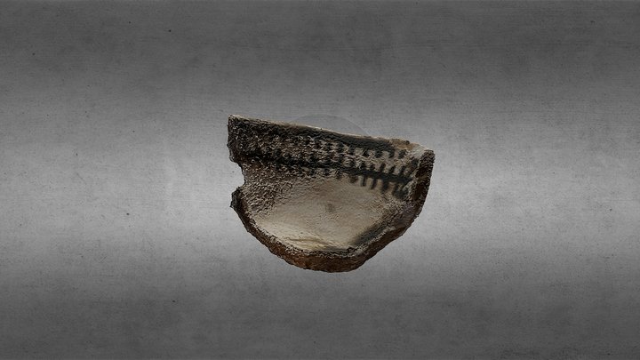 NHMU Ceramic Sherd 1007 3D Model