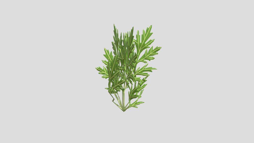 Wormwood