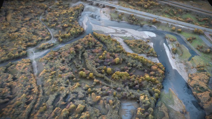 Wetland, forest, bridge, shoal and river – Gratis 3D-model STL