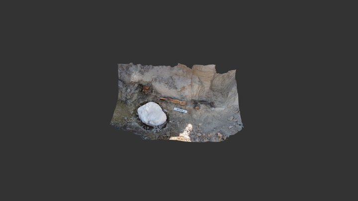 BDM 2017 2 3D Model