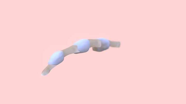 Finger Bones 3D Model