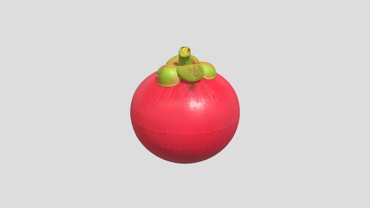 Seashore mangosteen 3D Model
