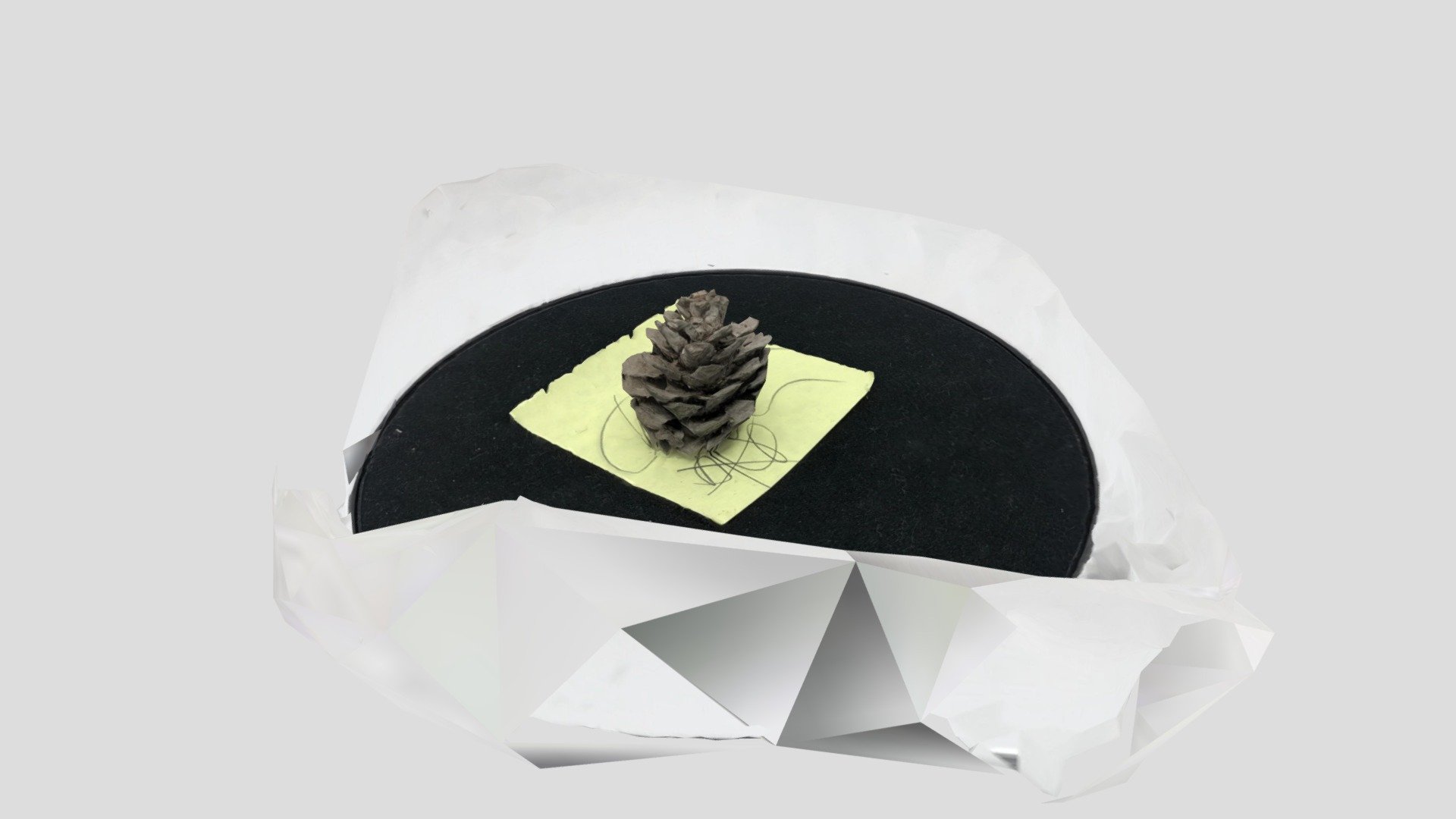 A Small Pinecone