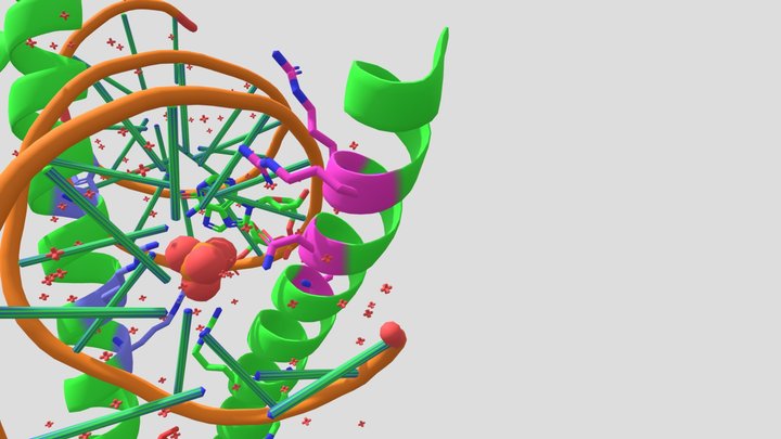 Pymol 3D Model