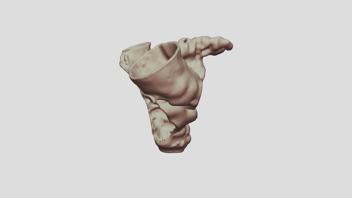 Segmentation1 3D Model