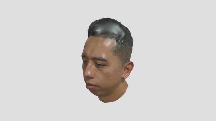 1 3D Model
