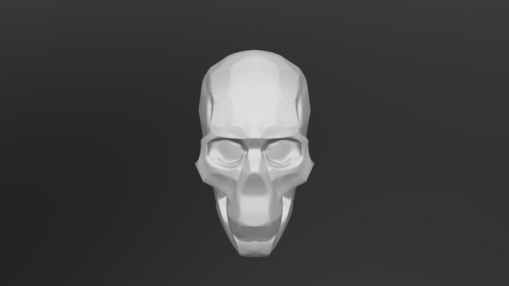 Skull Planes 3D Model