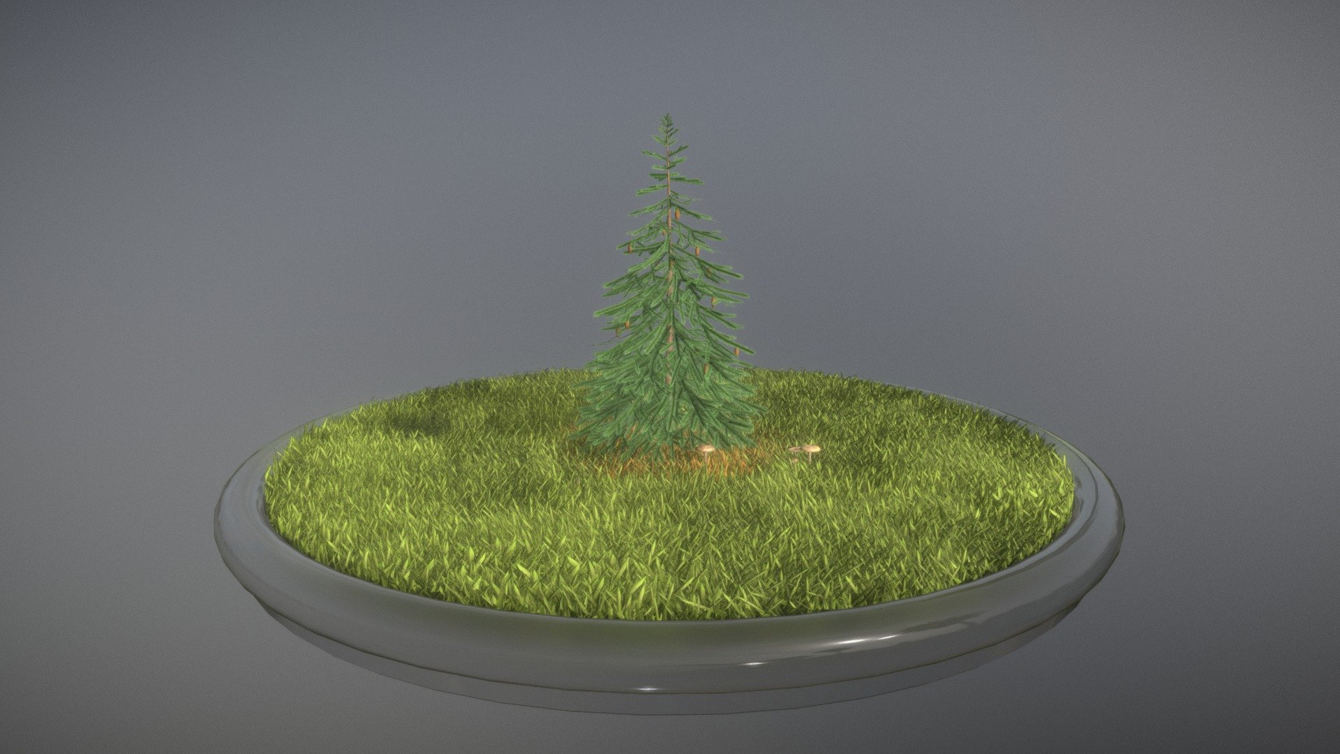 Spruce Tree - 4 Meter — Sketchfab embed 3D viewer