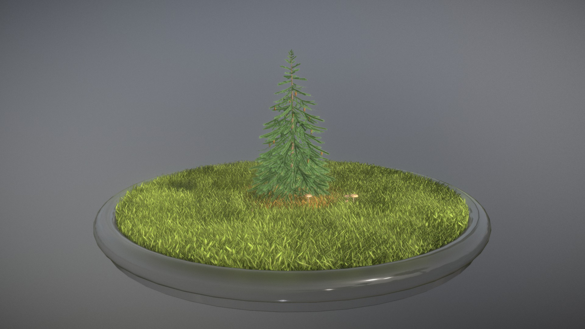3D model Spruce Tree – 4 Meter - This is a 3D model of the Spruce Tree - 4 Meter. The 3D model is about a small tree in a pot.