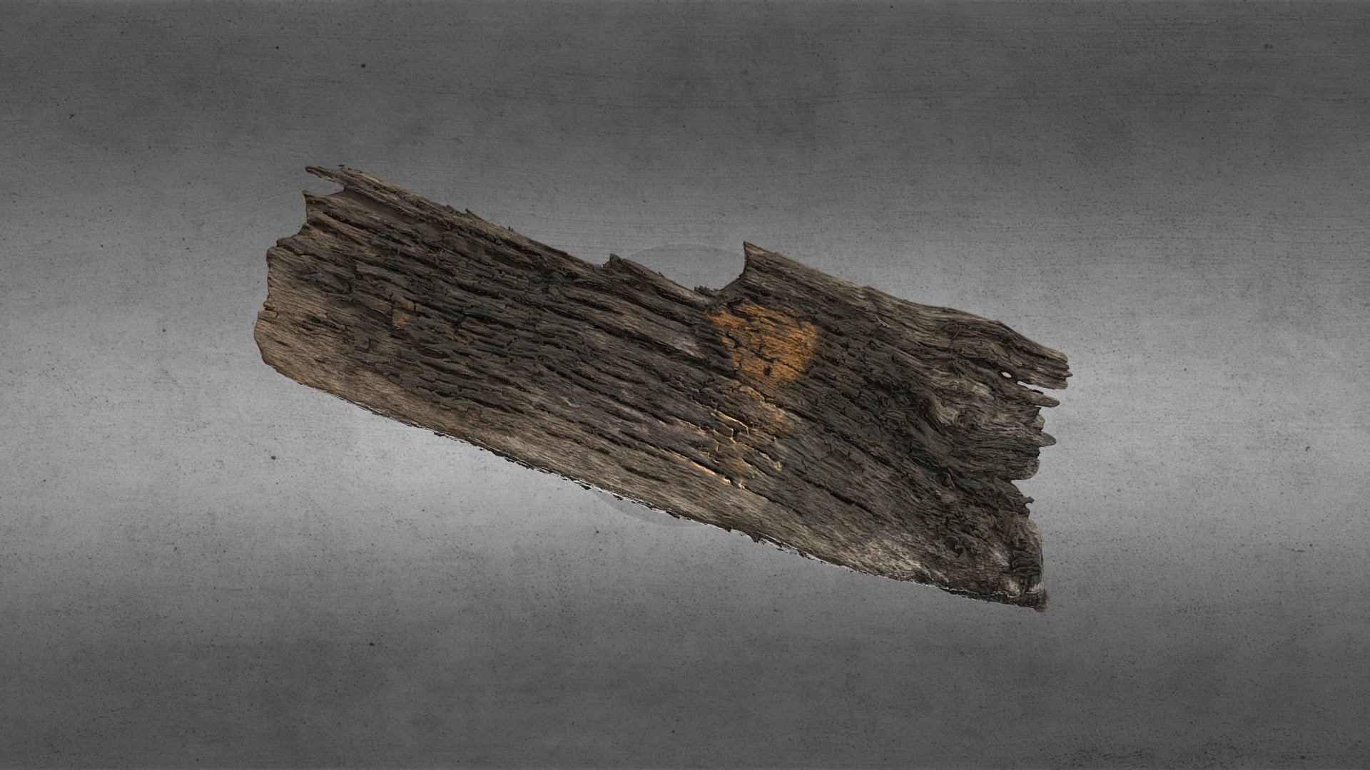 Skipsvrak, Træ 20