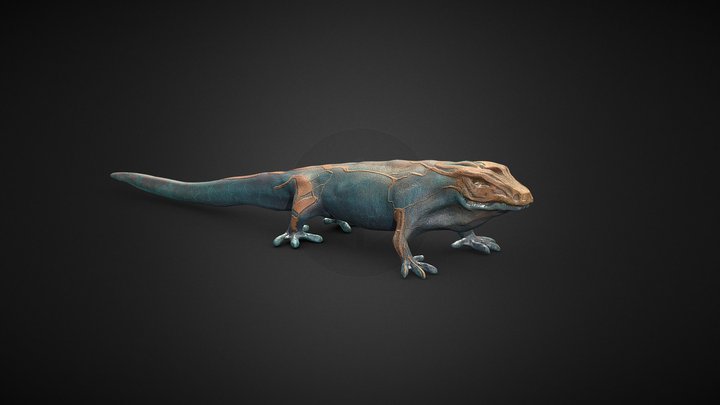 MM | Oceanic Lizard 3D Model