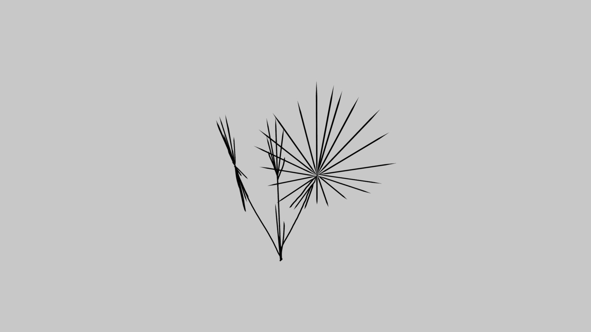 faecher_2