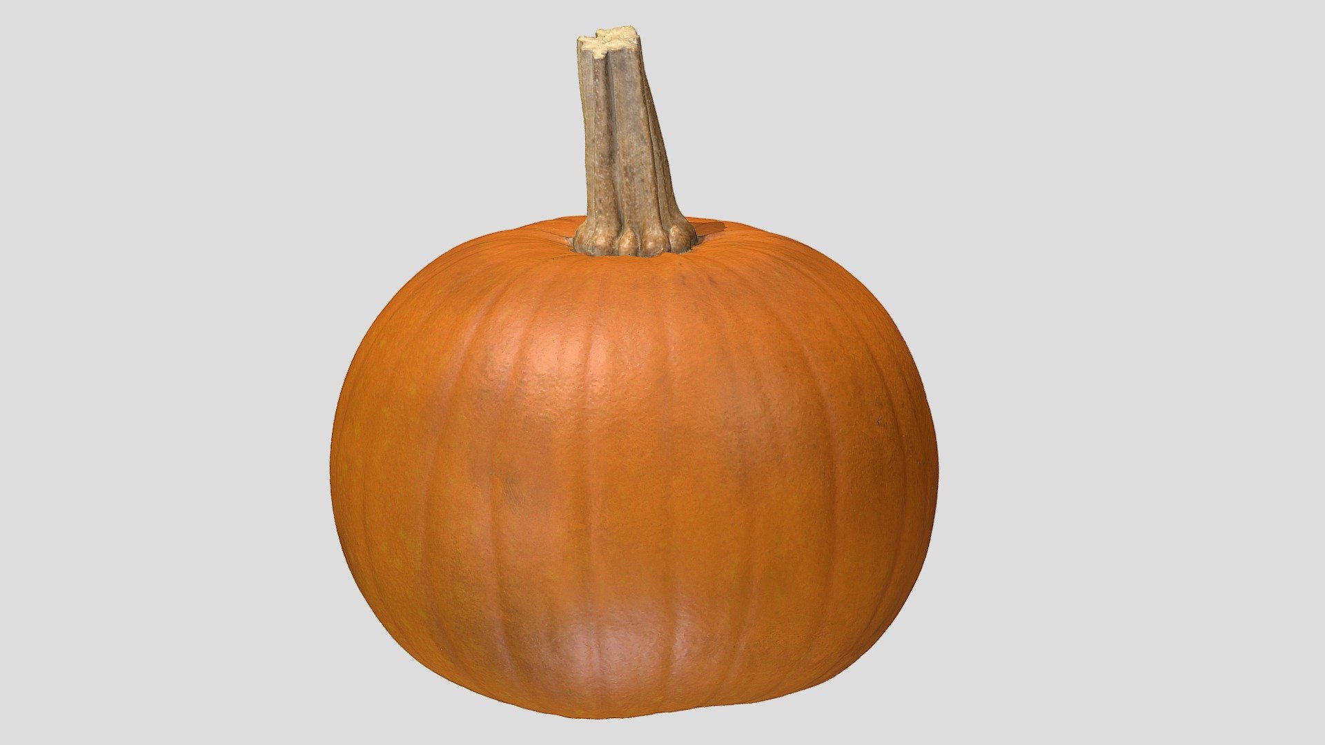 Medium Pumpkin Artec Spider 3DScan