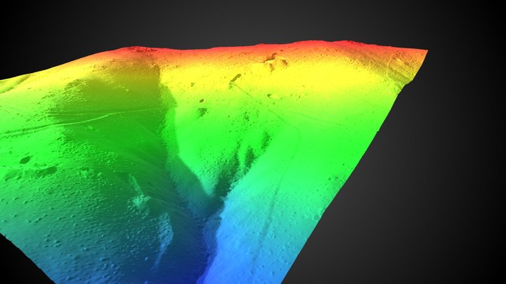 LongFellow Mine, Surface Elevation Colorized 3D Model