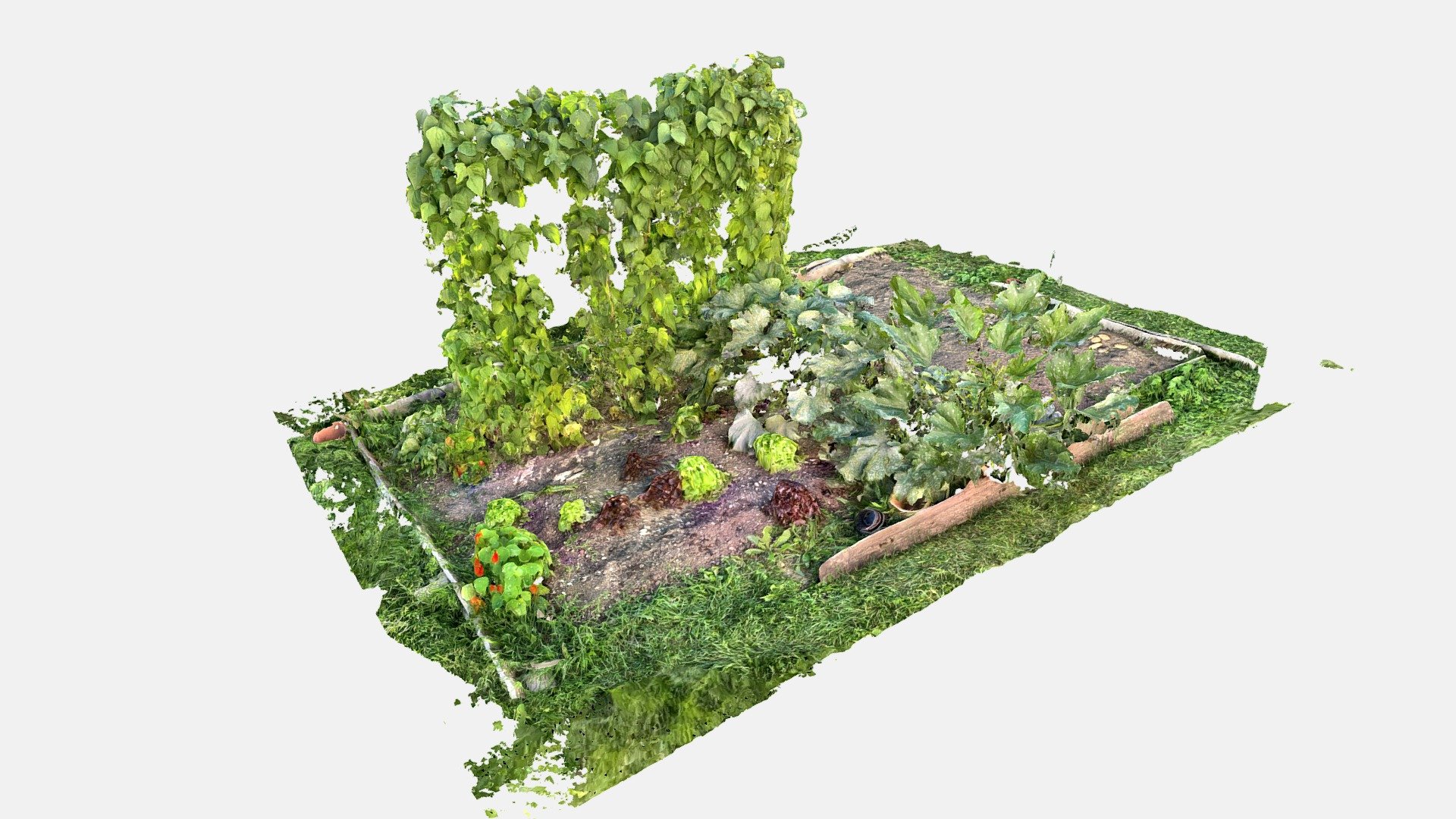 Vegetable Garden 3d Model By Alexandre Spontak Alexspontak